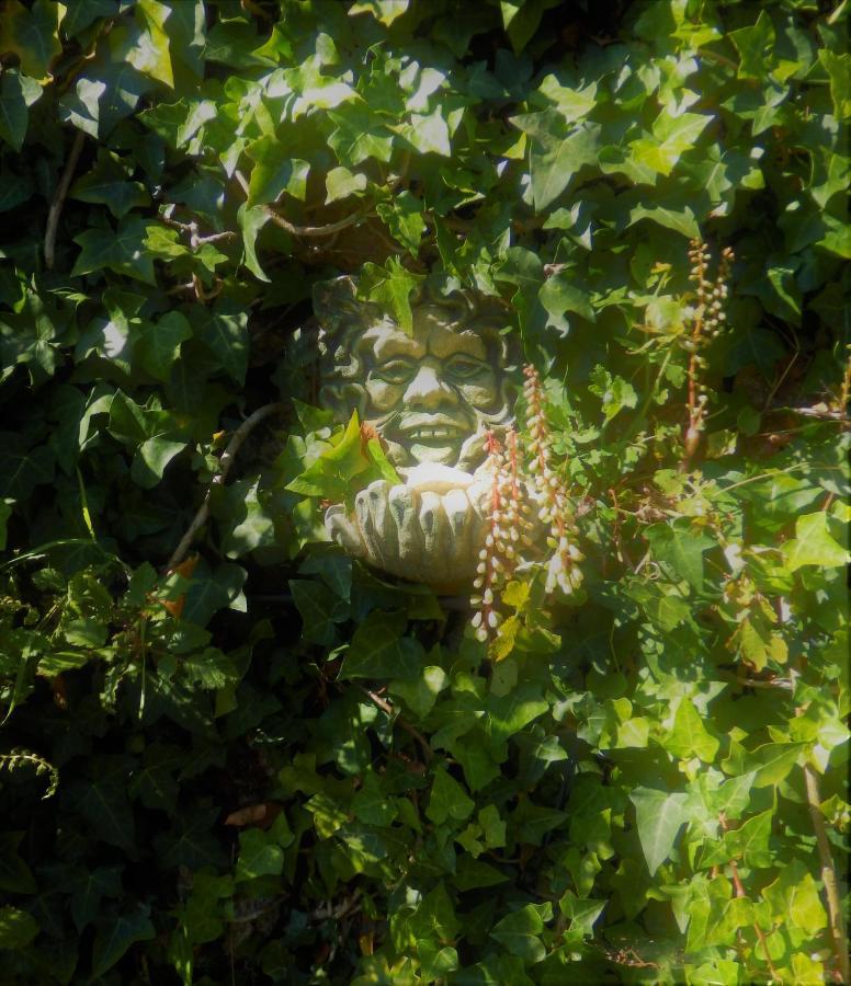 O Homem Verde Penela Exterior foto